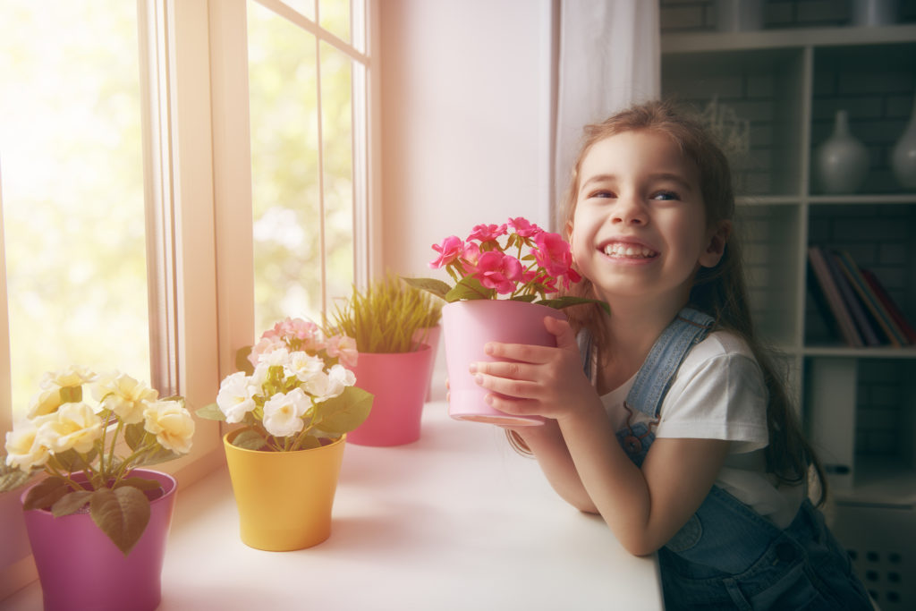 cute child girl puts flowers in pots on the window.